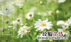 小暑节气文案 小暑节气文案一句话