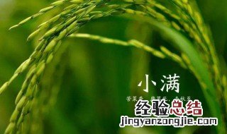 小满节气说说的幽默句子 小满节气的说说