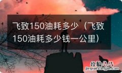 飞致150油耗多少钱一公里 飞致150油耗多少