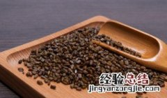 决明子可以泡水喝吗 决明子泡水喝有什么功效