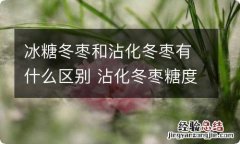 冰糖冬枣和沾化冬枣有什么区别 沾化冬枣糖度多少