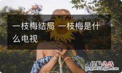 一枝梅结局 一枝梅是什么电视