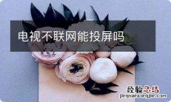 电视不联网能投屏吗