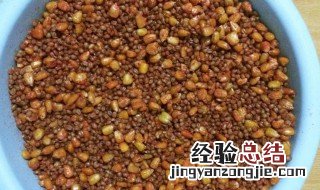 玉米和小麦做窝料怎么做 用玉米和小麦怎样做窝料