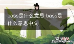 bass是什么意思 bass是什么意思中文