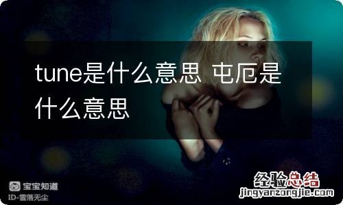 tune是什么意思 屯厄是什么意思