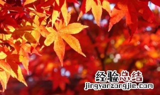 秋分节气的风俗有哪些 秋分节气的风俗