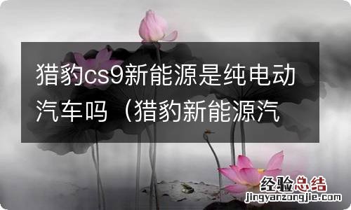 猎豹新能源汽车cs9ev怎么样 猎豹cs9新能源是纯电动汽车吗