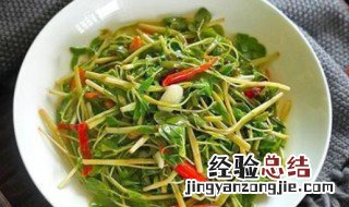 豆苗的选购与保存方法视频 豆苗的选购与保存