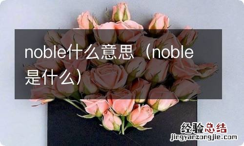 noble是什么 noble什么意思