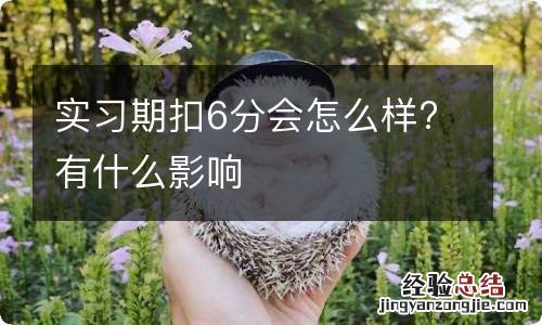 实习期扣6分会怎么样?有什么影响
