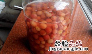 杨梅泡酒用什么容器比较好喝 杨梅泡酒用什么容器比较好