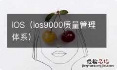 ios9000质量管理体系 iOS