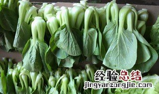 凉拌青菜可以放多久 青菜可以放多久