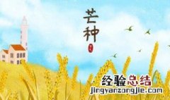 芒种节气是干什么的 芒种节气的人生寓意