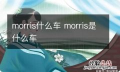 morris什么车 morris是什么车