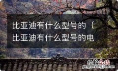 比亚迪有什么型号的电车 比亚迪有什么型号的