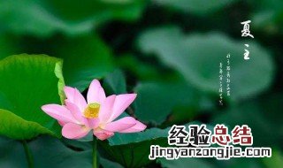 夏至节气的特点和风俗 夏至节气的特点和风俗蚂蚁庄园