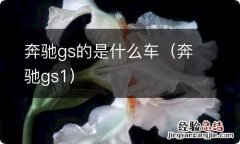 奔驰gs1 奔驰gs的是什么车