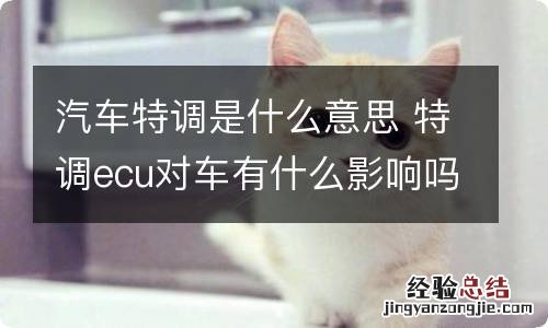 汽车特调是什么意思 特调ecu对车有什么影响吗