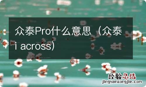 众泰i across 众泰Pro什么意思