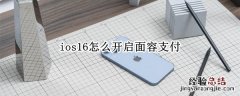 iphone11怎么开启面容支付 ios16怎么开启面容支付