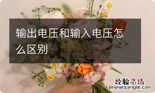 输出电压和输入电压怎么区别