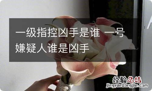 一级指控凶手是谁 一号嫌疑人谁是凶手