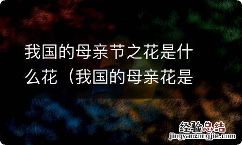 我国的母亲花是什么花? 我国的母亲节之花是什么花