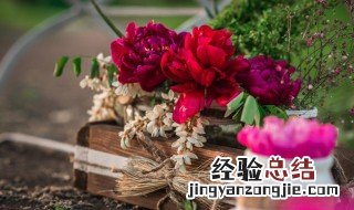 怎么保存花 怎么保存花生米不变质呢