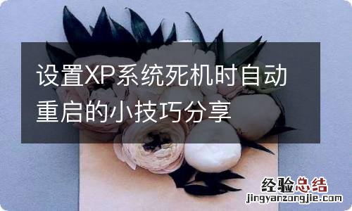 设置XP系统死机时自动重启的小技巧分享