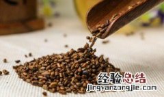 生决明子的食用方式和注意事项 生决明子有什么作用