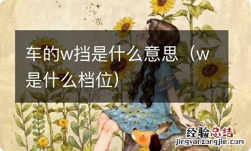 w是什么档位 车的w挡是什么意思