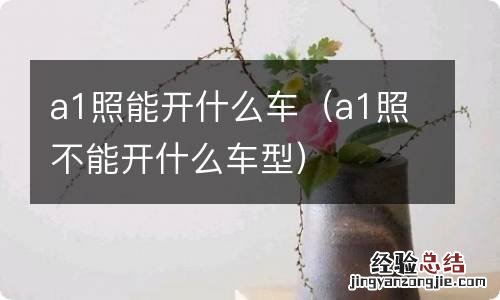 a1照不能开什么车型 a1照能开什么车