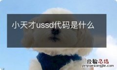 小天才ussd代码是什么