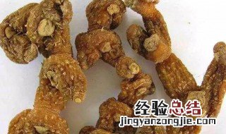 黄精儿童可以吃吗