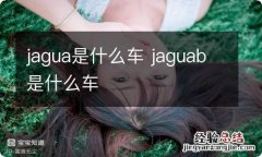 jagua是什么车 jaguab是什么车