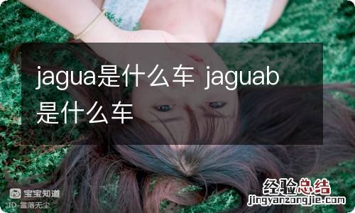 jagua是什么车 jaguab是什么车