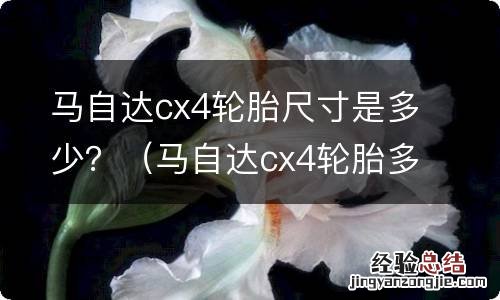 马自达cx4轮胎多大尺寸的 马自达cx4轮胎尺寸是多少？