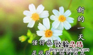 早上好的祝福早安 早上好的祝福早安图片大全
