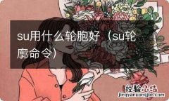 su轮廓命令 su用什么轮胞好