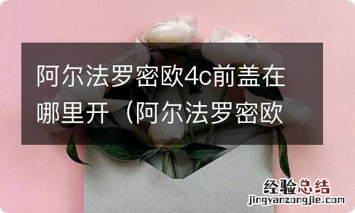 阿尔法罗密欧4c内饰 阿尔法罗密欧4c前盖在哪里开