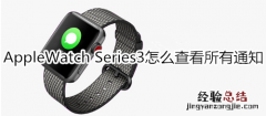 Apple Watch Series 3怎么查看所有通知