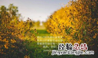 特别正能量的一句话关于生活 特别正能量的一句话关于生活的句子
