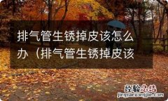 排气管生锈掉皮该怎么办视频 排气管生锈掉皮该怎么办