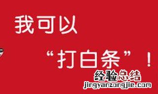 京东白条怎么开 怎么开京东白条