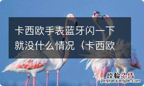 卡西欧手表蓝牙按了没反应 卡西欧手表蓝牙闪一下就没什么情况