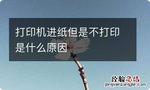 打印机进纸但是不打印是什么原因