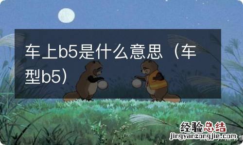 车型b5 车上b5是什么意思