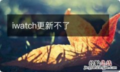 iwatch更新不了